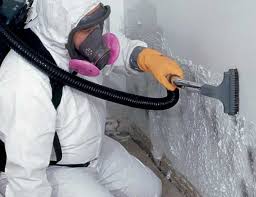 Environmental Consulting for Mold Prevention in Aurora, OH